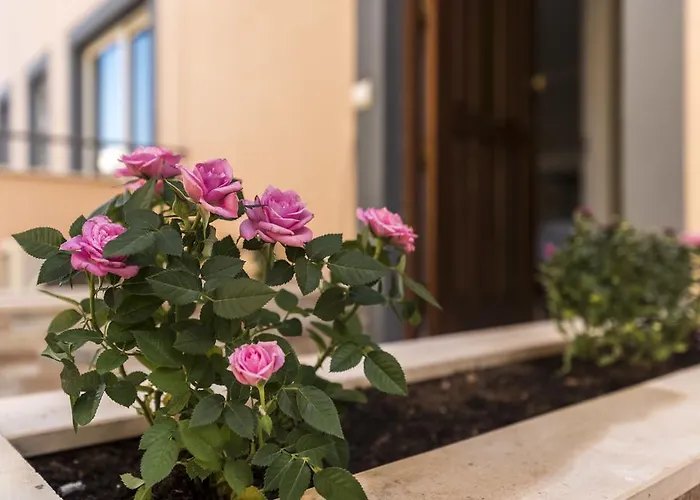 게스트하우스 Village 4*