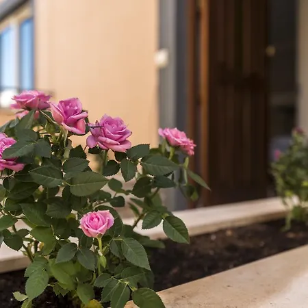 Гостевой дом Village 4*